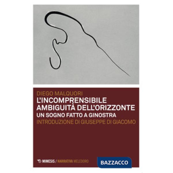 Incomprensibile ambiguità dell'orizzonte. Un sogno fatto a Ginostra (L')