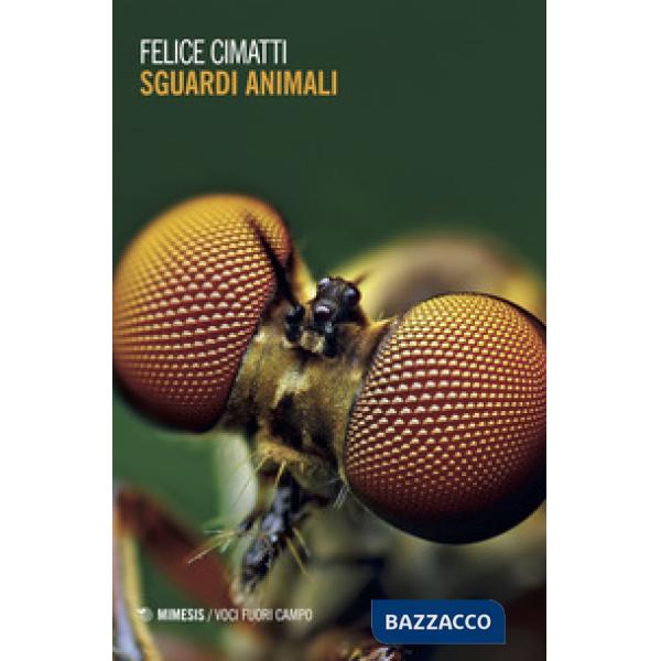 Sguardi animali. Ediz. illustrata