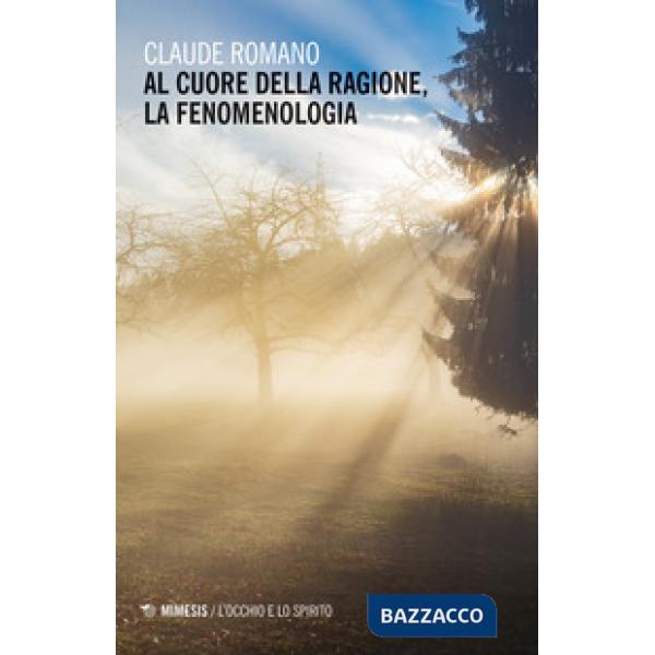 Al cuore della ragione, la fenomenologia
