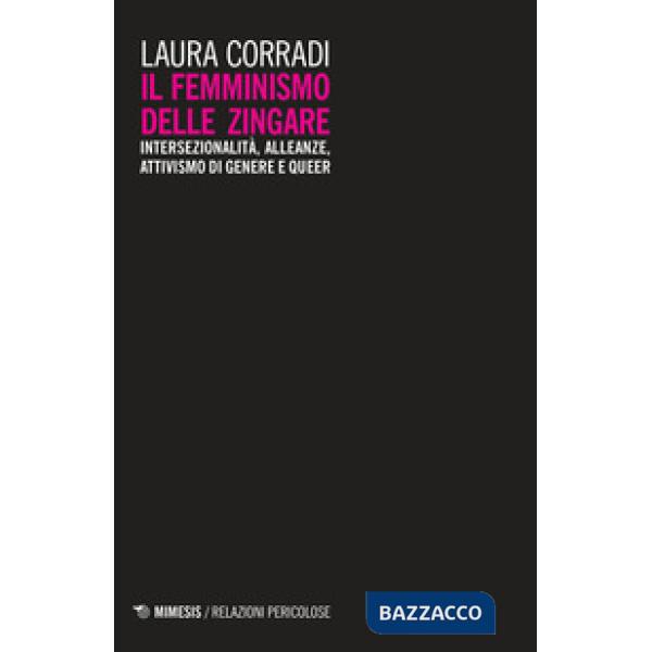 Femminismo delle zingare. Intersezionalità, alleanze, attivismo di genere e queer (Il)