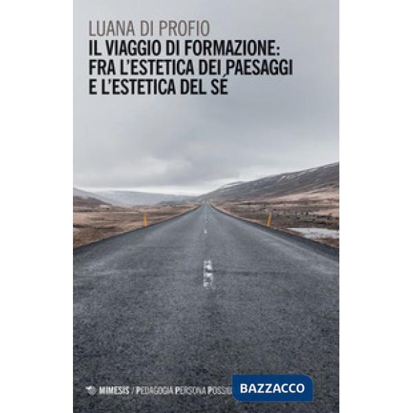 Viaggio di formazione: fra l'estetica dei paesaggi e l'estetica del sé (Il)