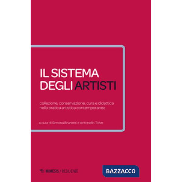 Sistema degli artisti. Collezione, conservazione, cura e didattica nella pratica
