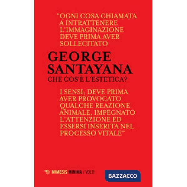 Che cos'è l'estetica?