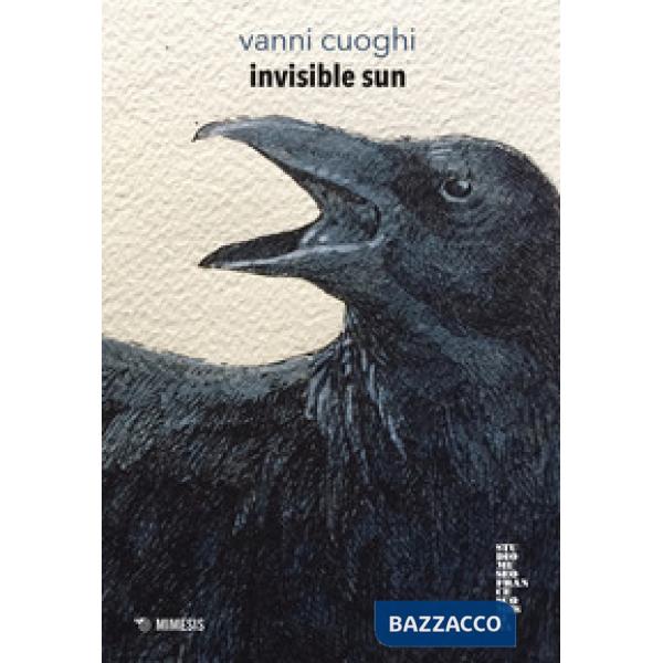 Invisible sun. La terza dimensione del disegno. Ediz. a colori