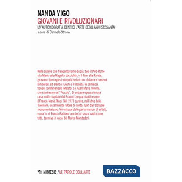 Giovani e rivoluzionari. Un'autobiografia dentro l'arte degli anni Sessanta