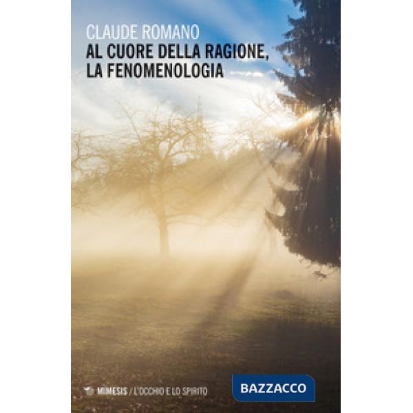 Al cuore della ragione, la fenomenologia