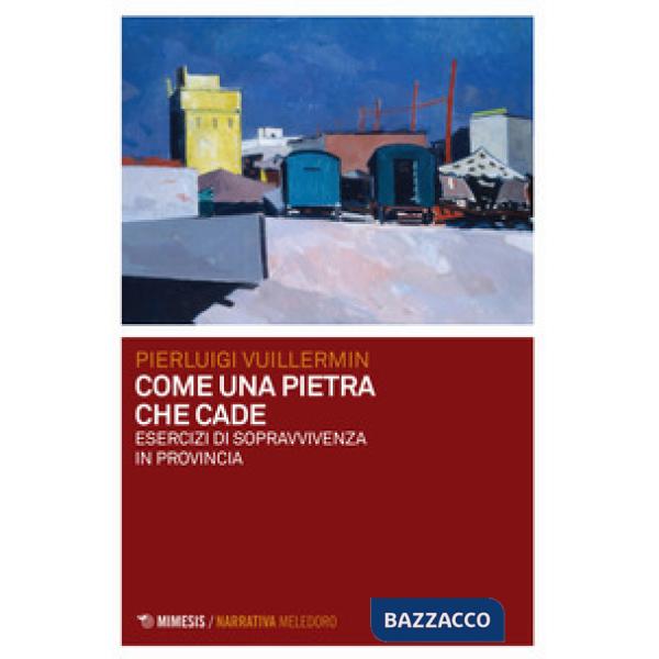 Come una pietra che cade. Esercizi di sopravvivenza in provincia