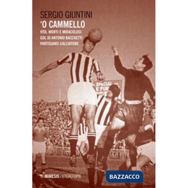 'O cammello. Vita, morti e miracolosi gol di Antonio Bacchetti partigiano-calciatore