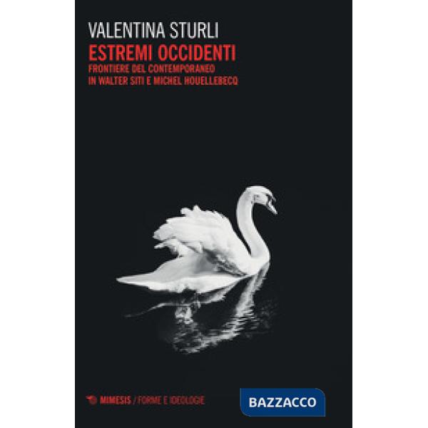 Estremi occidenti. Frontiere del contemporaneo in Walter Siti e Michel Houllebecq
