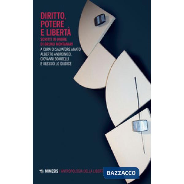 Diritto, potere e libertà. Scritti in onore di Bruno Montanari