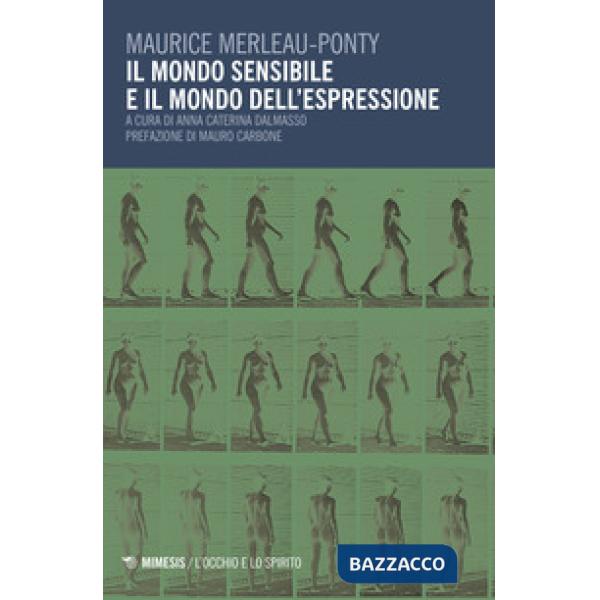 Mondo sensibile e il mondo dell'espressione (Il)