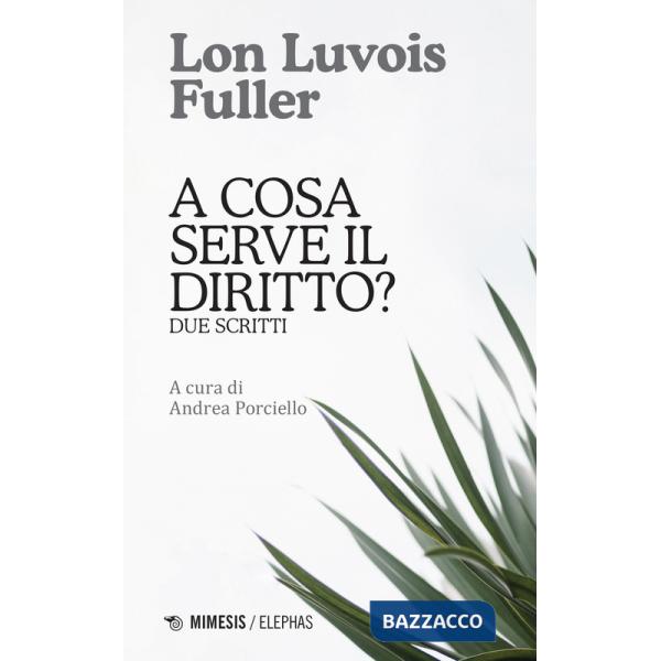 A cosa serve il diritto? Due scritti