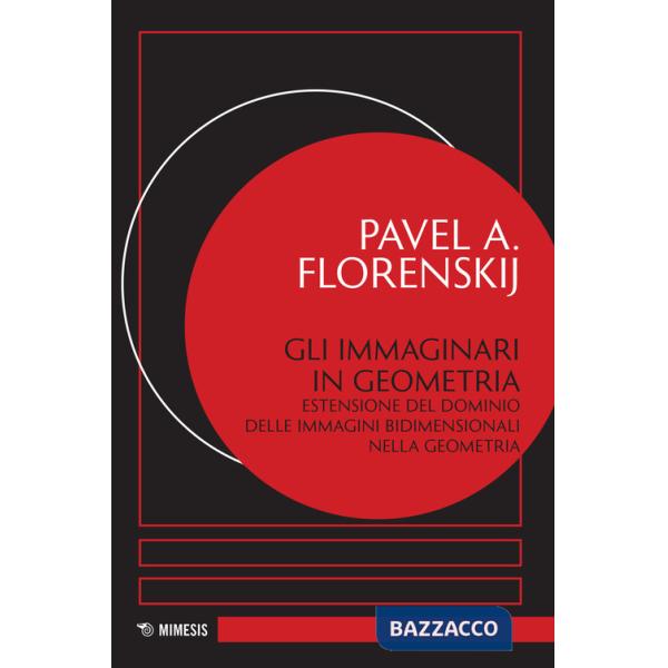 Immaginari in geometria. Estensione del dominio delle immagini bidimensionali nella geometria (Gli)