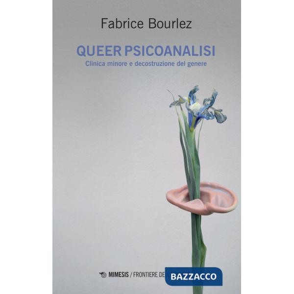 Queer psicoanalisi. Clinica minore e decostruzione del genere