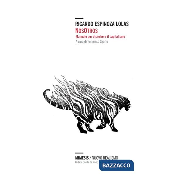 Nosotros. Manuale per dissolvere il capitalismo