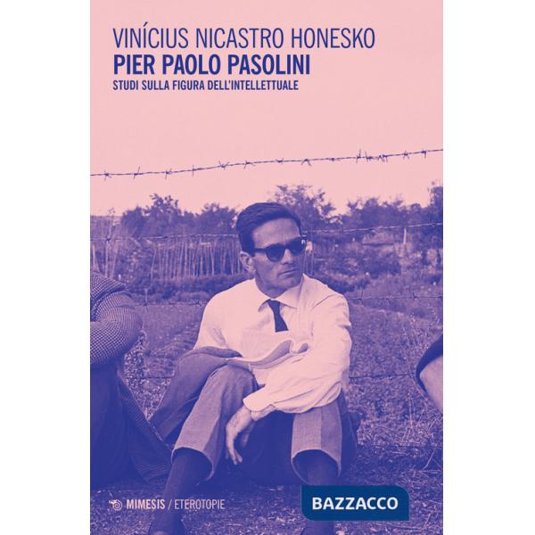 Pier Paolo Pasolini. Studi sulla figura dell'intellettuale