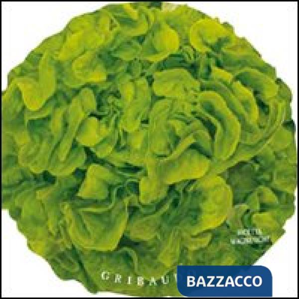 Insalate. Ricette magnetiche