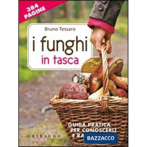 Funghi in tasca. Guida pratica per conoscerli e raccoglierli. Con gadget (I)