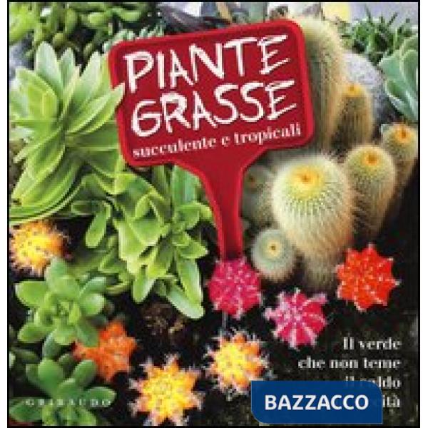 Piante grasse succulente e subtropicali. Il verde che non teme il caldo e la sic