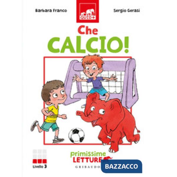 Che calcio! Primissime letture. Livello 3. Ediz. a colori