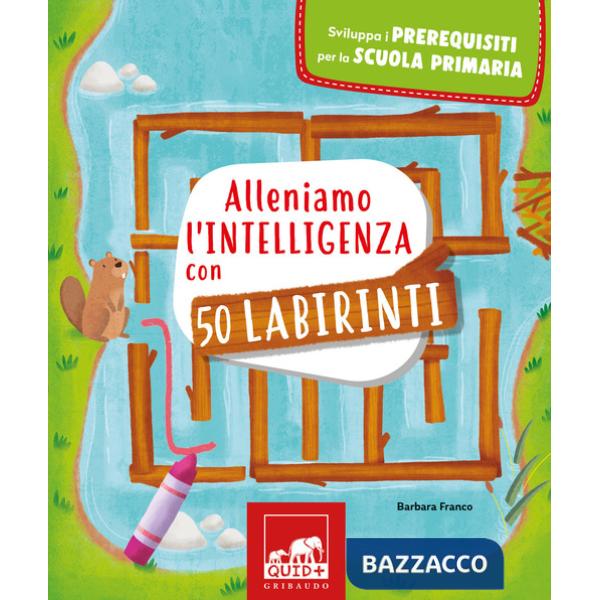 Alleniamo l'intelligenza con 50 labirinti