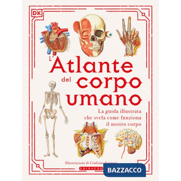 Atlante del corpo umano (L')