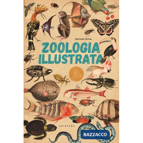 Zoologia illustrata. Con 10 poster