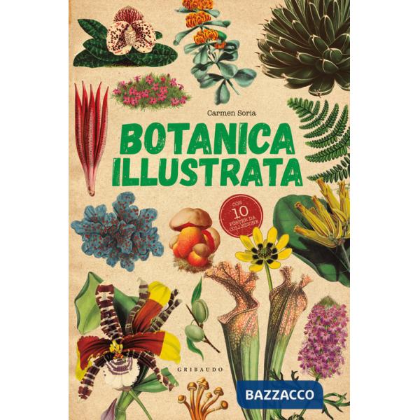 Botanica illustrata. Con 10 poster