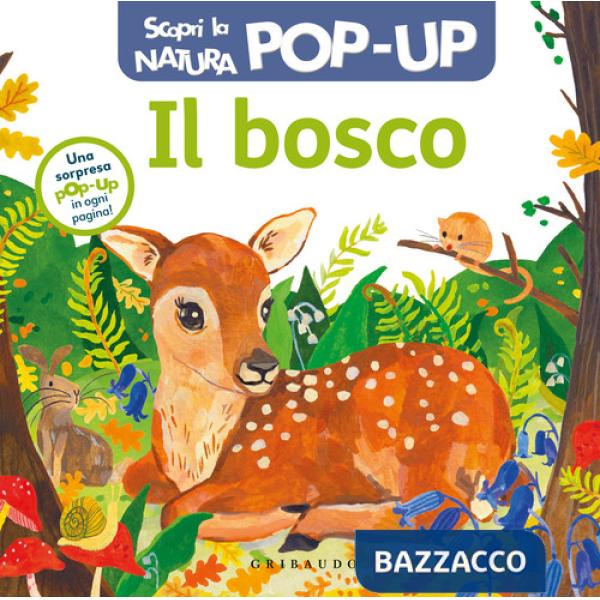 Bosco. Scopri la natura pop up. Ediz. a colori (Il)