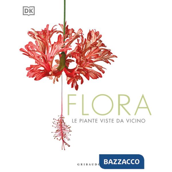 Flora. Le piante viste da vicino