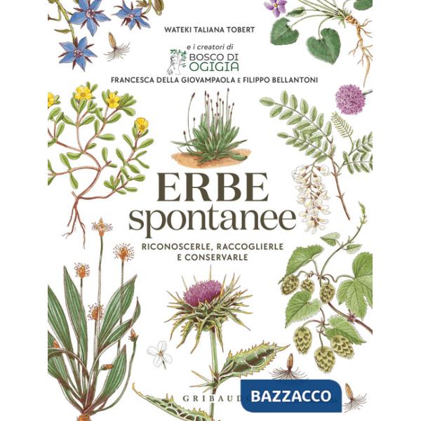 Erbe spontanee. Riconoscerle, raccoglierle e conservarle