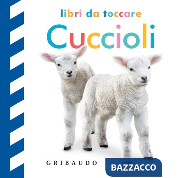 Cuccioli. Libri da toccare. Ediz. a colori