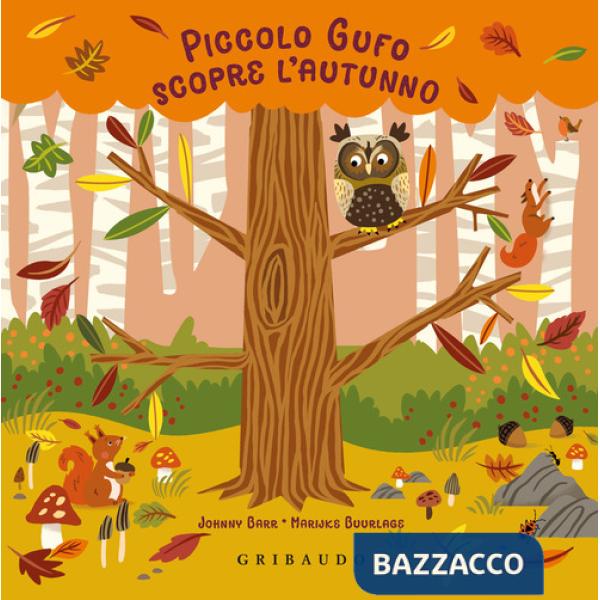 Piccolo Gufo scopre l'autunno. Ediz. a colori