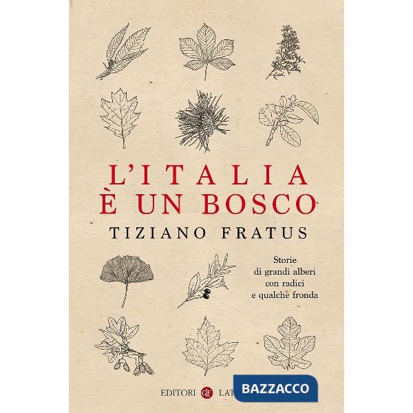 Italia è un bosco. Storie di grandi alberi con radici e qualche fronda (L')