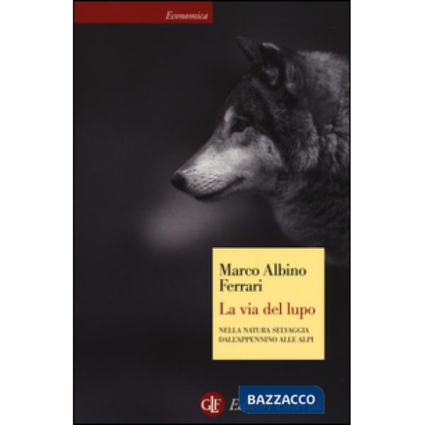 Via del lupo. Nella natura selvaggia dall'Appennino alle Alpi (La)
