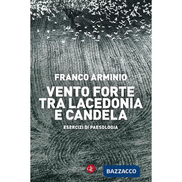 Vento forte tra Lacedonia e Candela. Esercizi di paesologia