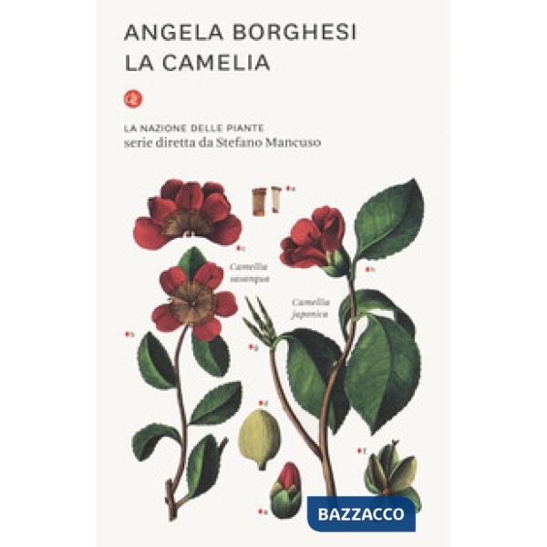 Camelia. La nazione delle piante (La)