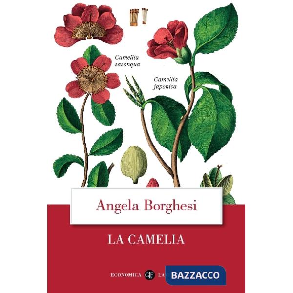 Camelia (La)