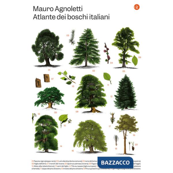 Atlante dei boschi italiani
