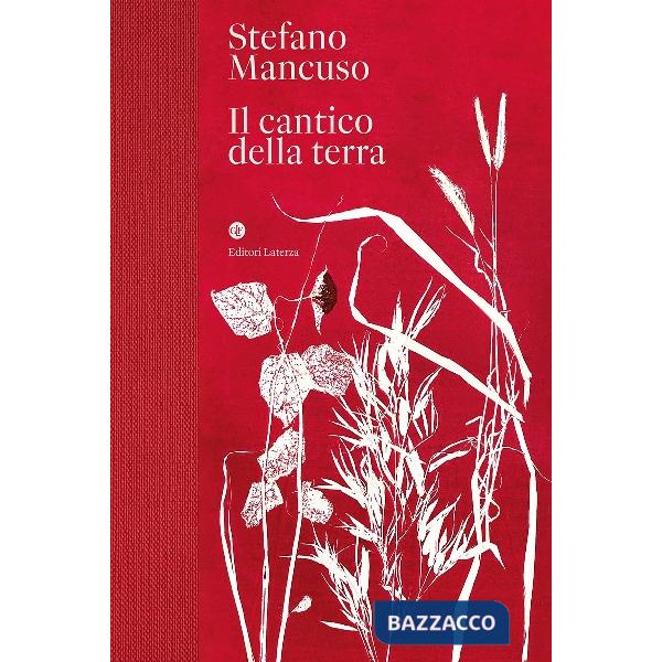 Cantico della terra (Il)