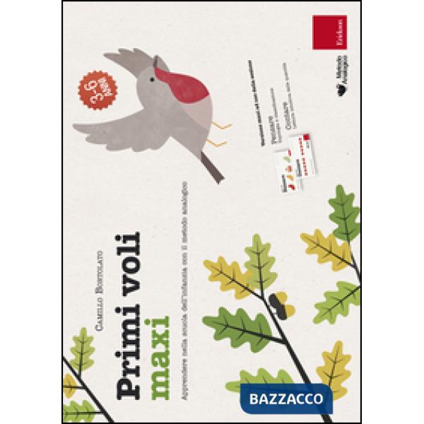 Primi voli maxi. Apprendere nella scuola dell'infanzia con il metodo analogico