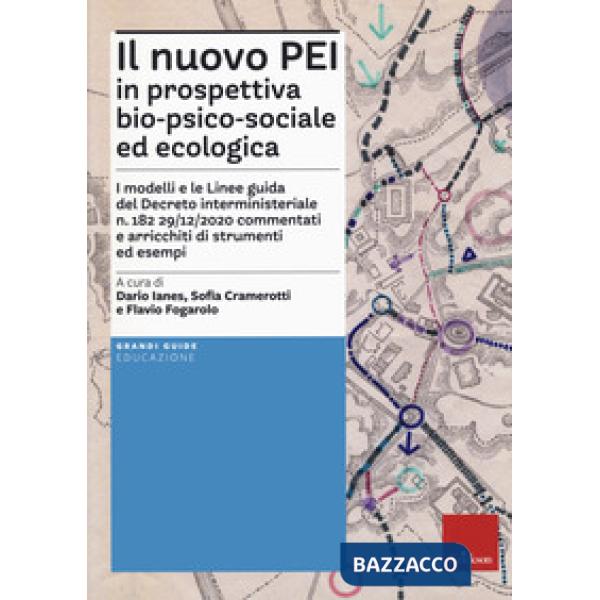 Nuovo PEI in prospettiva bio-psico-sociale e ecologica. Aggiornato D.M. 153/2023 (Il)