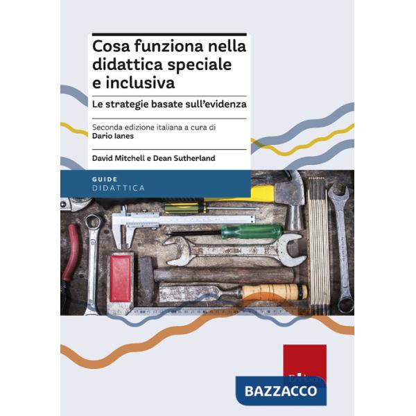 Cosa funziona nella didattica speciale e inclusiva. Le strategie basate sull'evidenza. Nuova ediz.