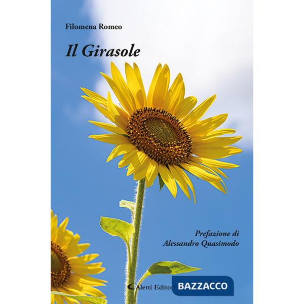 Girasole (Il)