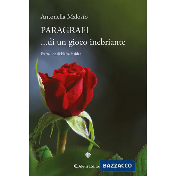 Paragrafi... di un gioco inebriante