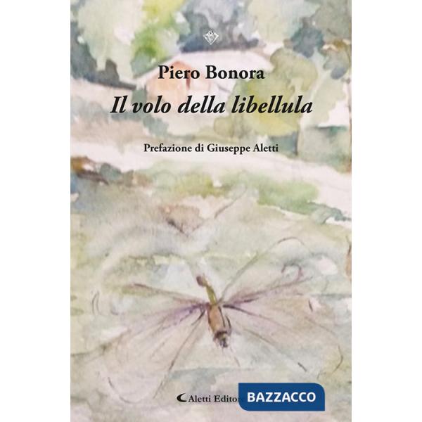 Volo della libellula (Il)