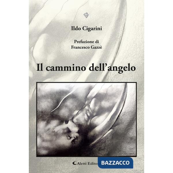 Cammino dell'angelo (Il)