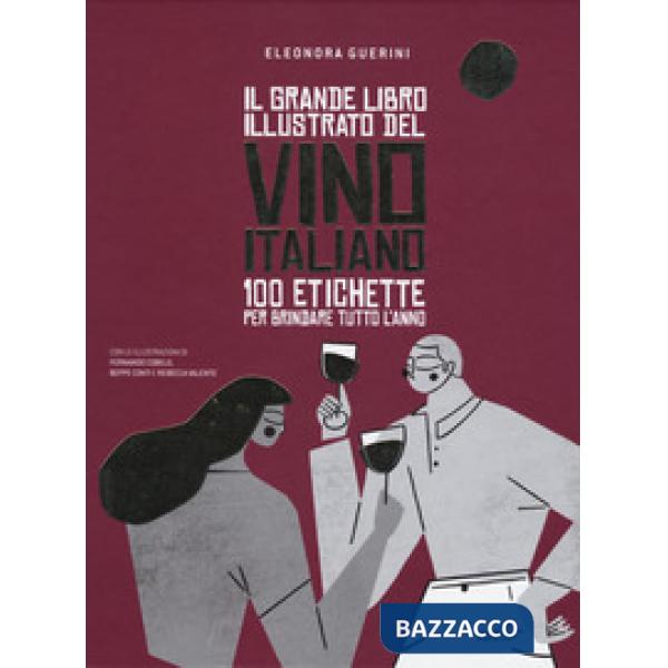 Grande libro illustrato del vino italiano. 100 etichette per brindare tutto l'anno (Il)