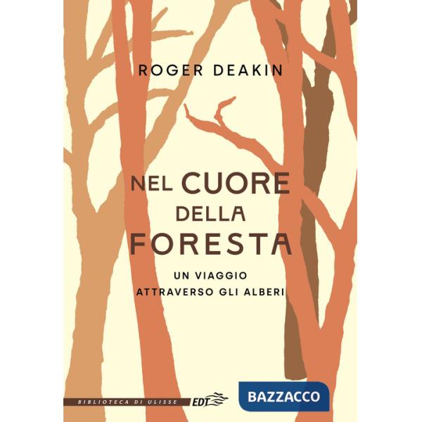Nel cuore della foresta. Un viaggio attraverso gli alberi