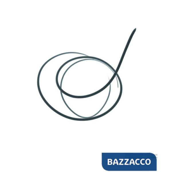 Dall'oscurità alla luce. L'arrivo di lzena a Bordighera. Ediz. illustrata